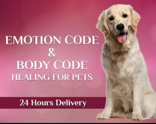 Emotion code and body code for pets