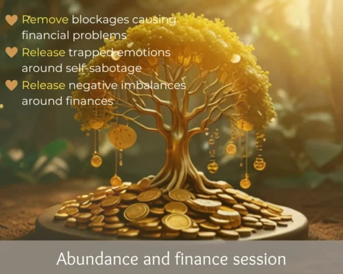 Abundance and finance session