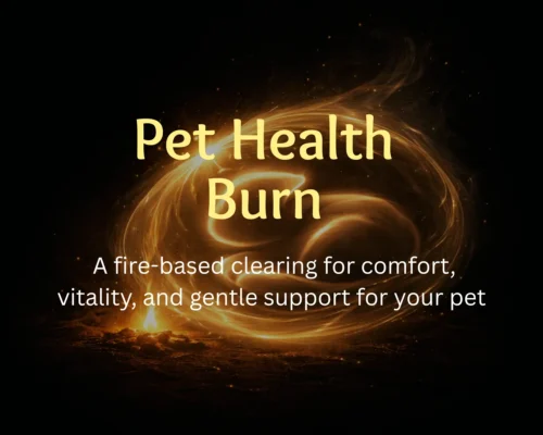 Pet Health Burn